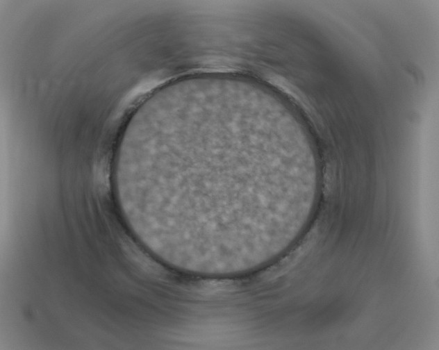 X0000113241451200910221050