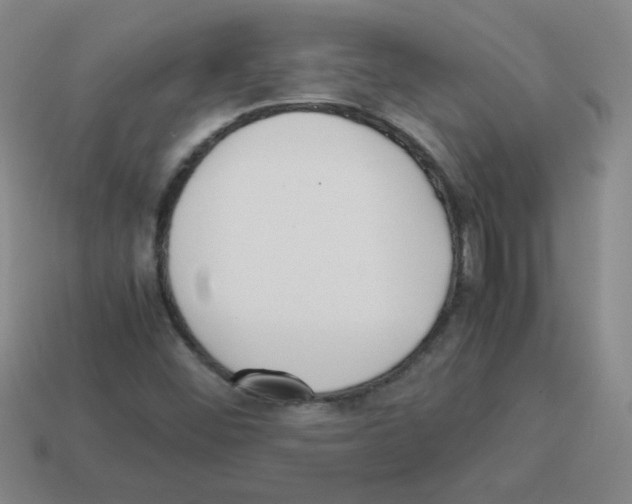 X0000113241452200910221050