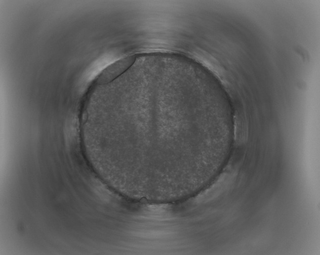 X0000113241453200910221050