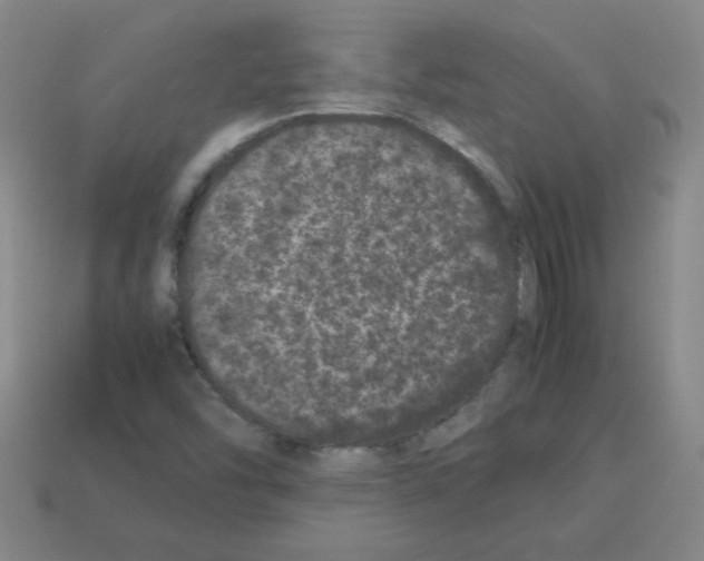 X0000113241454200910221050