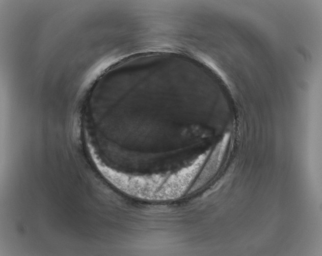 X0000113241455200910221050