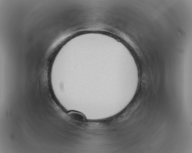 X0000113241456200910221050