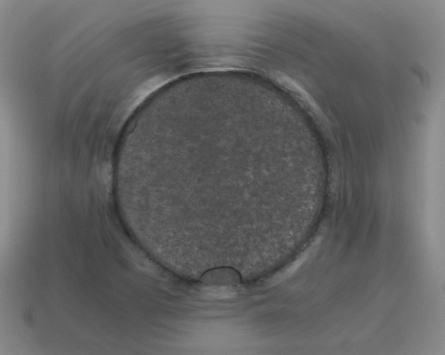 X0000113241457200910221050