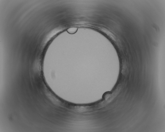 X0000113241458200910221050