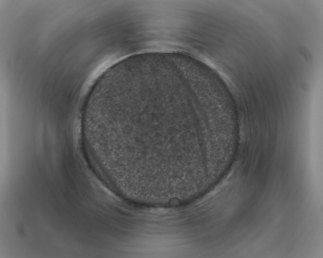 X0000113241459200910221050