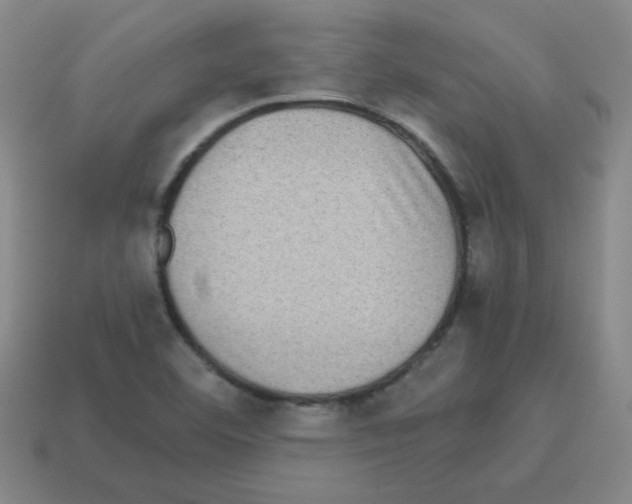 X0000113241460200910221050