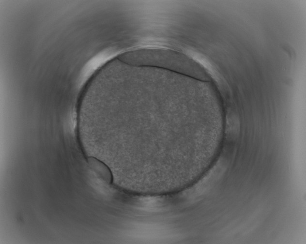 X0000113241461200910221050