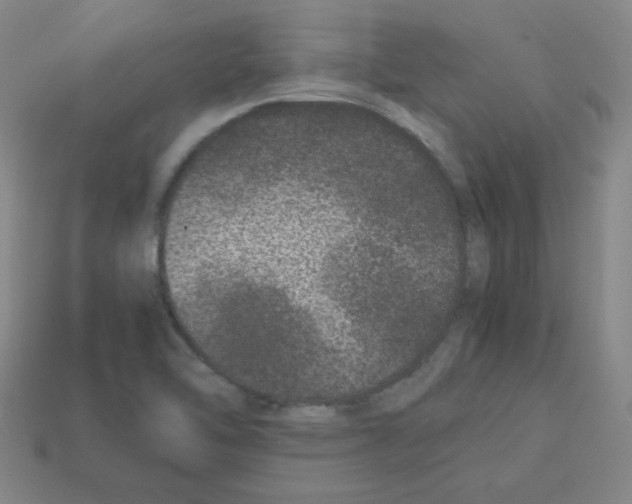 X0000113241462200910221050