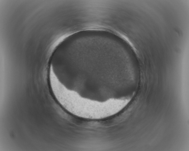 X0000113241463200910221050