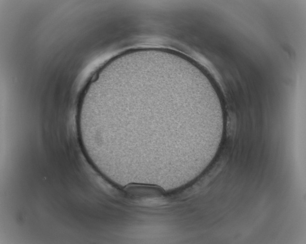 X0000113241464200910221050
