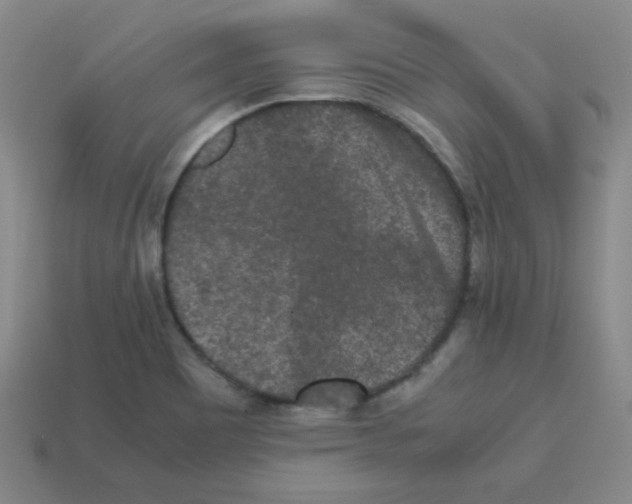 X0000113241465200910221050
