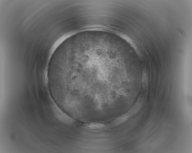 X0000113241466200910221050