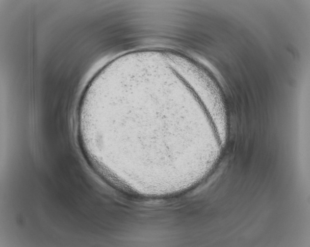 X0000113241467200910221050