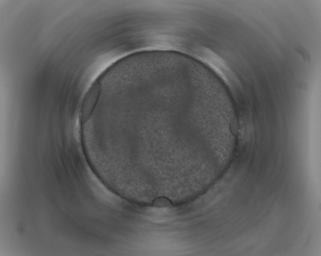 X0000113241468200910221050