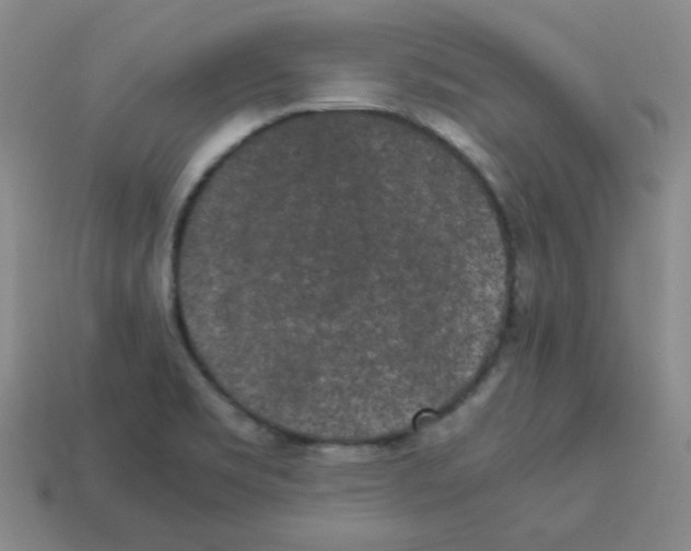 X0000113241469200910221050