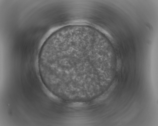 X0000113241470200910221050