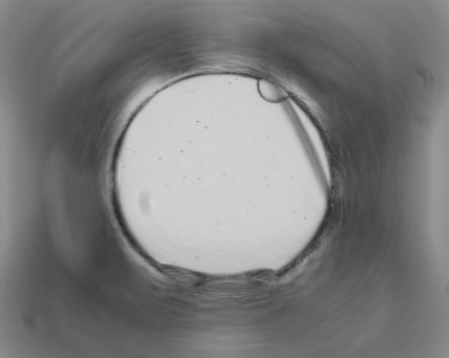 X0000113241471200910221050