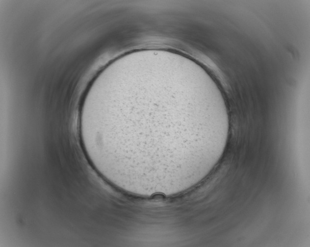 X0000113241472200910221050