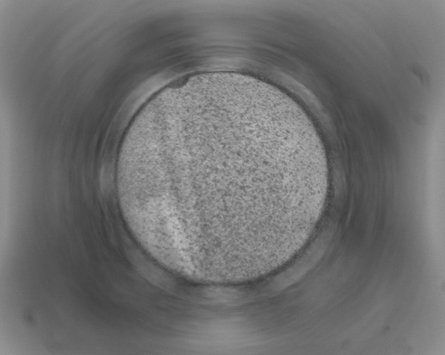 X0000113241473200910221050