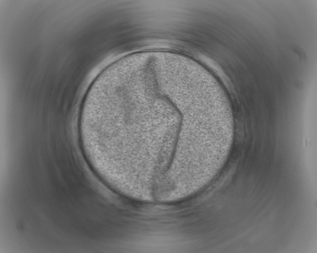 X0000113241475200910221050