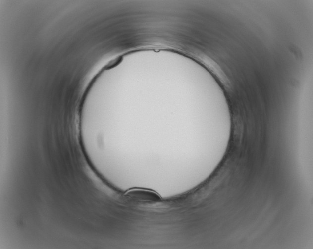 X0000113241476200910221050