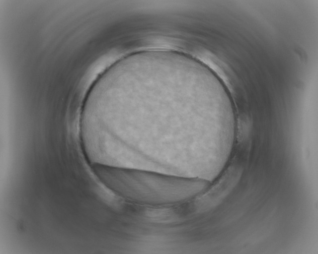 X0000113241477200910221050