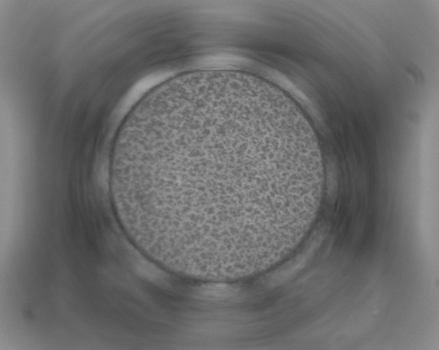 X0000113241478200910221050