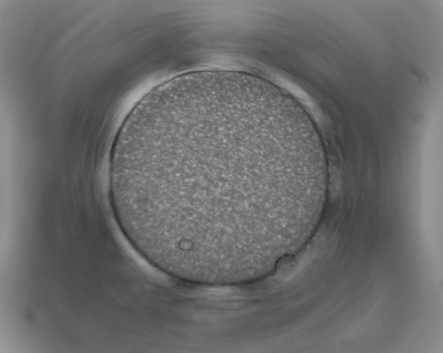X0000113241479200910221050