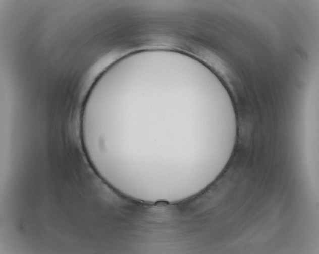 X0000113241480200910221050
