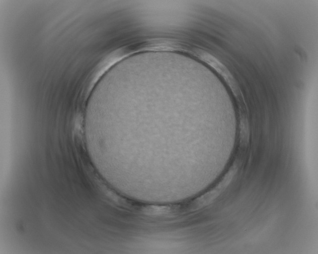 X0000113241481200910221050