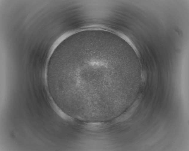 X0000113241482200910221050