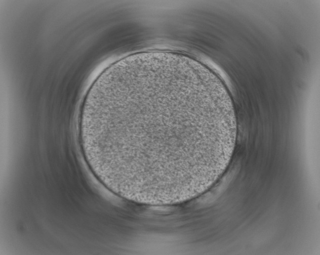 X0000113241483200910221050