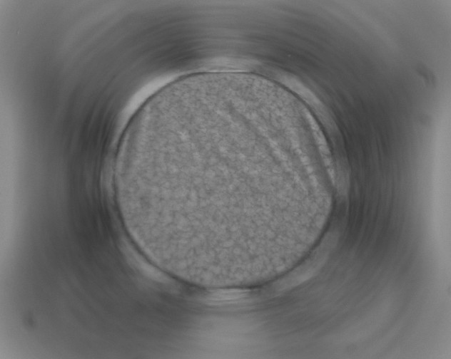 X0000113241486200910221050