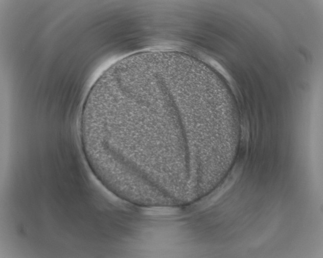 X0000113241487200910221050