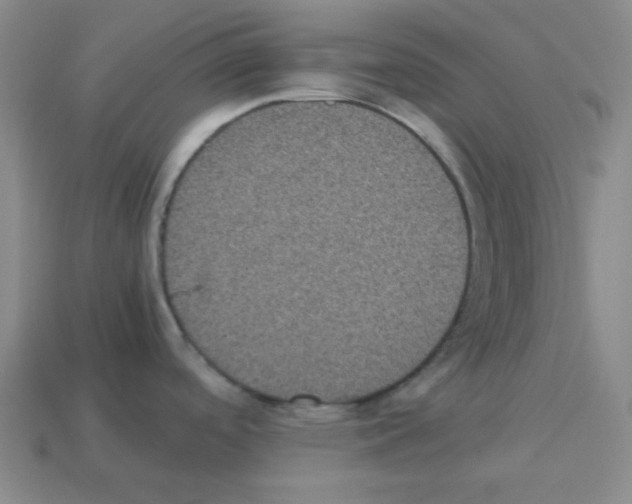 X0000113241488200910221050