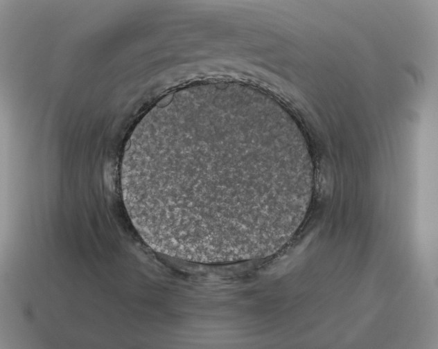 X0000113241490200910221049