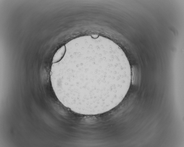 X0000113241491200910221049