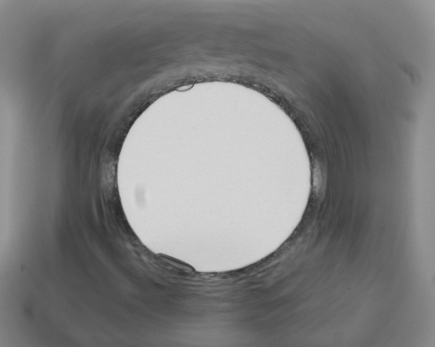 X0000113241492200910221049