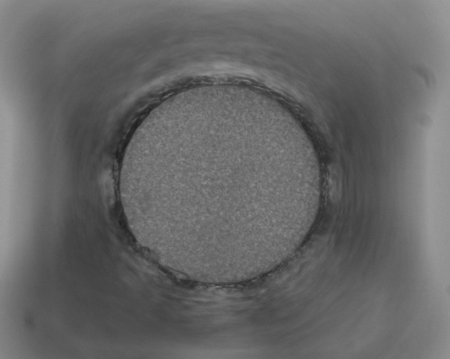 X0000113241493200910221049