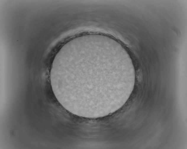 X0000113241495200910221049