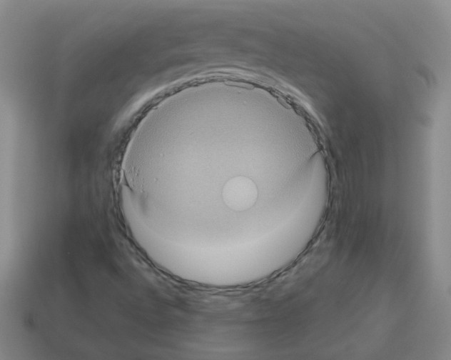 X0000113241496200910221049