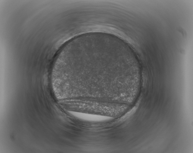 X0000113241497200910221049
