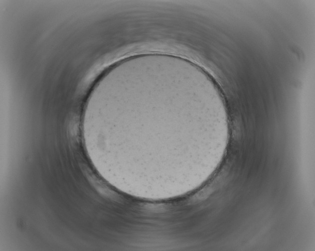 X0000113241499200910221049
