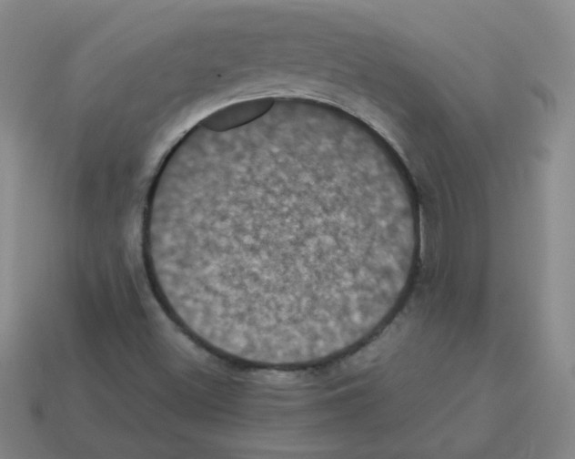 X0000113241500200910221049