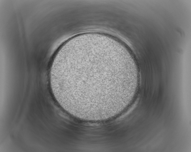 X0000113241501200910221049