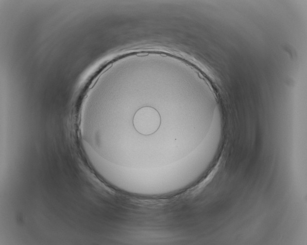 X0000113241502200910221049