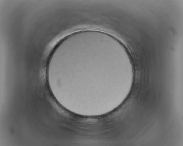 X0000113241503200910221049