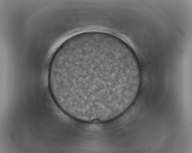 X0000113241504200910221049