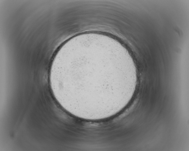 X0000113241505200910221049