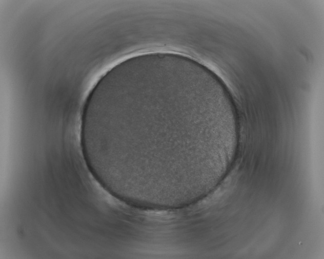 X0000113241508200910221049